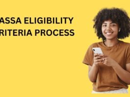 south africa social grants eligibility criteria application process