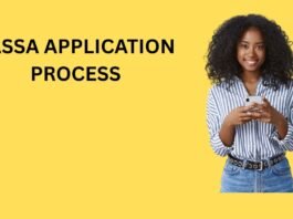 south africa social relief grant application process